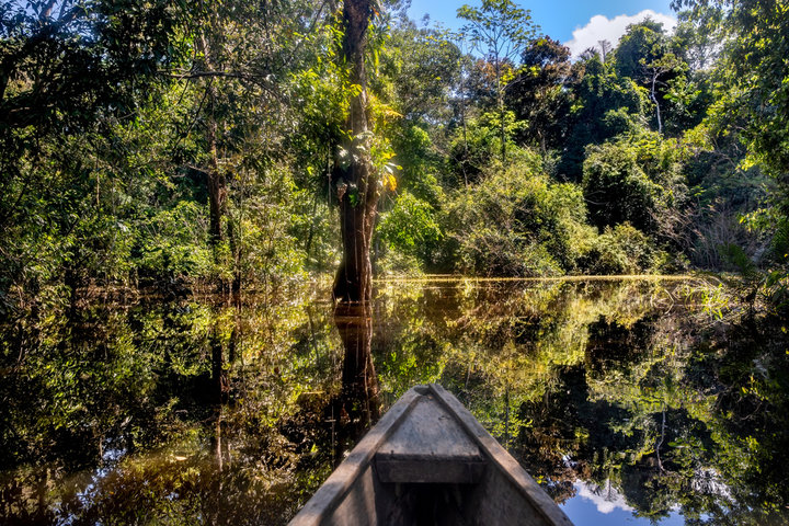 Amazonas